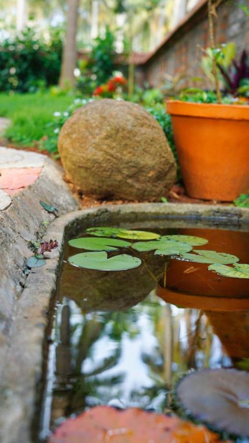 Dr Nisha'S Vedic Remedies Thiruvananthapuram Ngoại thất bức ảnh